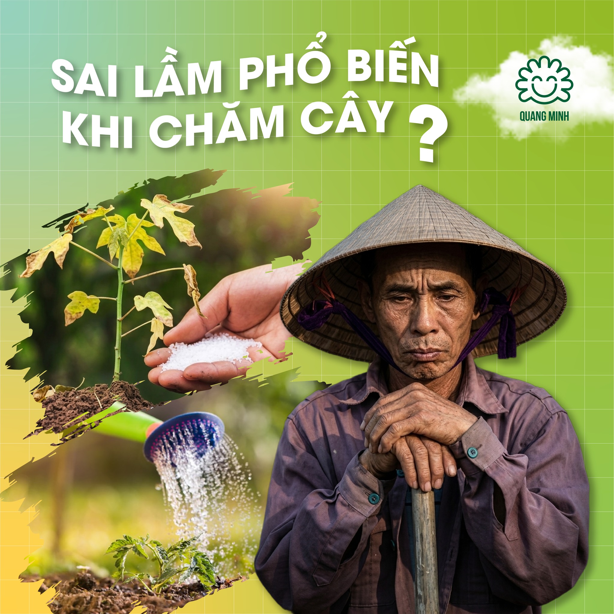 Sai lầm phổ biến khi chăm cây