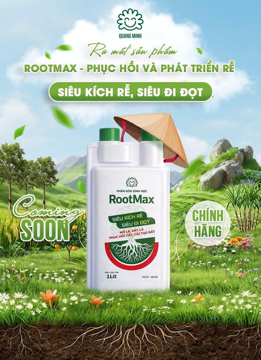 Kích Rễ RootMax